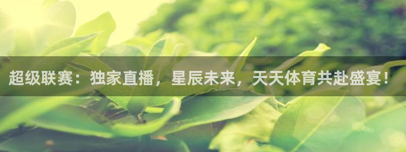 蓝鲸直播正版下载：超级联赛：独家直播，星辰未来，天天体育共赴盛宴！
