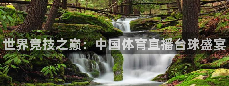 蓝鲸直播下载app下载：世界竞技之巅：中国体育直播台球盛宴