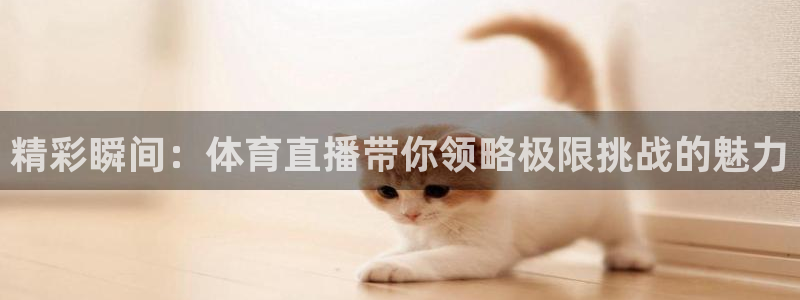 蓝鲸直播体育免费观看：精彩瞬间：体育直播带你领略极限挑战的魅力