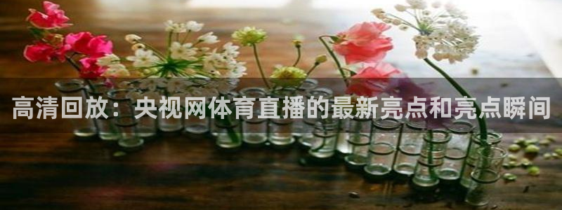 蓝鲸直播网站：高清回放：央视网体育直播的最新亮点和亮点瞬间