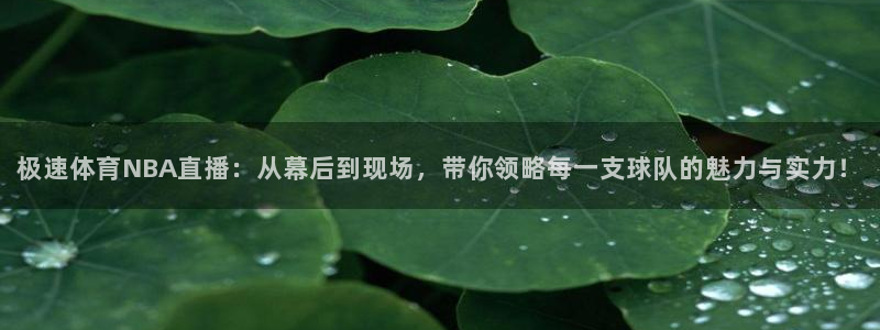 蓝鲸直播体育赛事：极速体育NBA直播：从幕后到现场，带你领略每一支球队的魅力与实力！