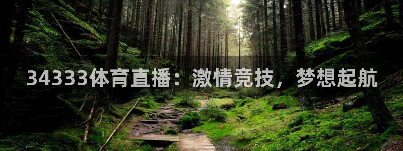 蓝鲸直播男同：34333体育直播：激情竞技，梦想起航