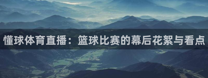 蓝鲸直播登录入口：懂球体育直播：篮球比赛的幕后花絮与看点
