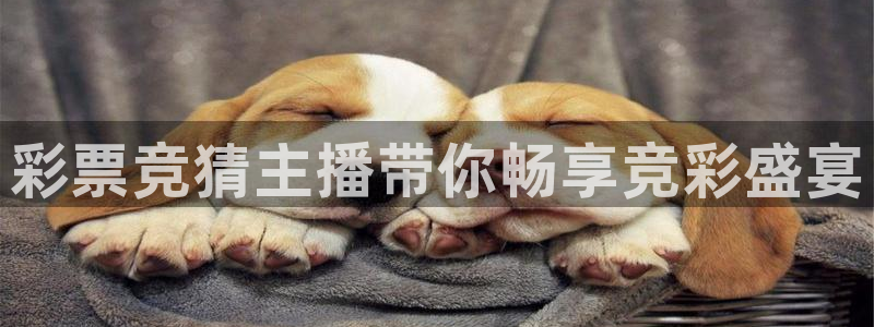 最新蓝鲸直播app：彩票竞猜主播带你畅享竞彩盛宴