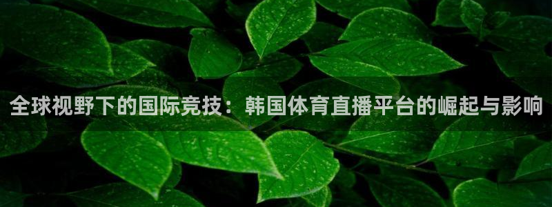 蓝鲸直播男：全球视野下的国际竞技：韩国体育直播平台的崛起与影响