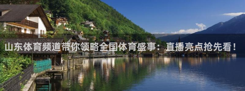 蓝鲸直播体育免费观看：山东体育频道带你领略全国体育盛事：直播亮点抢先看！