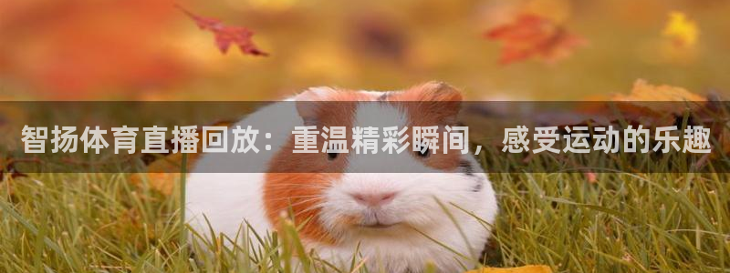 蓝鲸直播app下载官网安卓版：智扬体育直播回放：重温精彩瞬间，感受运动的乐趣
