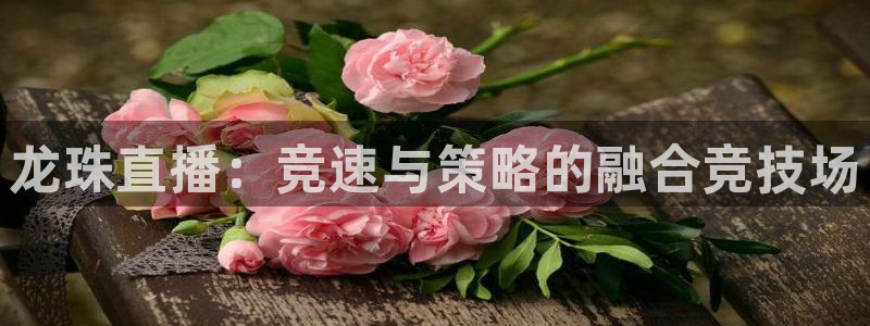 蓝鲸直播登录入口：龙珠直播：竞速与策略的融合竞技场