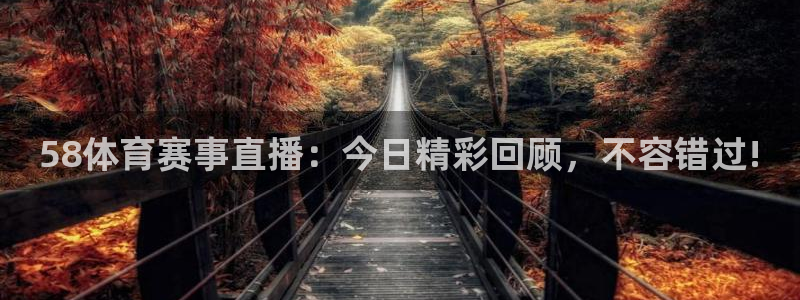 蓝鲸直播网站：58体育赛事直播：今日精彩回顾，不容错过!