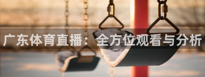 蓝鲸直播 安卓：广东体育直播：全方位观看与分析