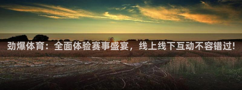 蓝鲸直播助手下载