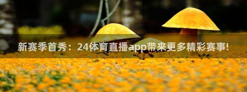 蓝鲸直播吧：新赛季首秀：24体育直播app带来更多精彩赛事!